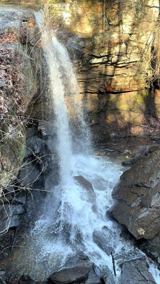 Post 4 by jhibbs23 on TikTok (video)