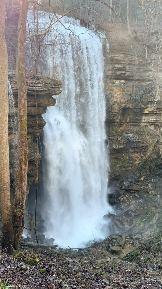 Post 2 by jhibbs23 on TikTok (video)