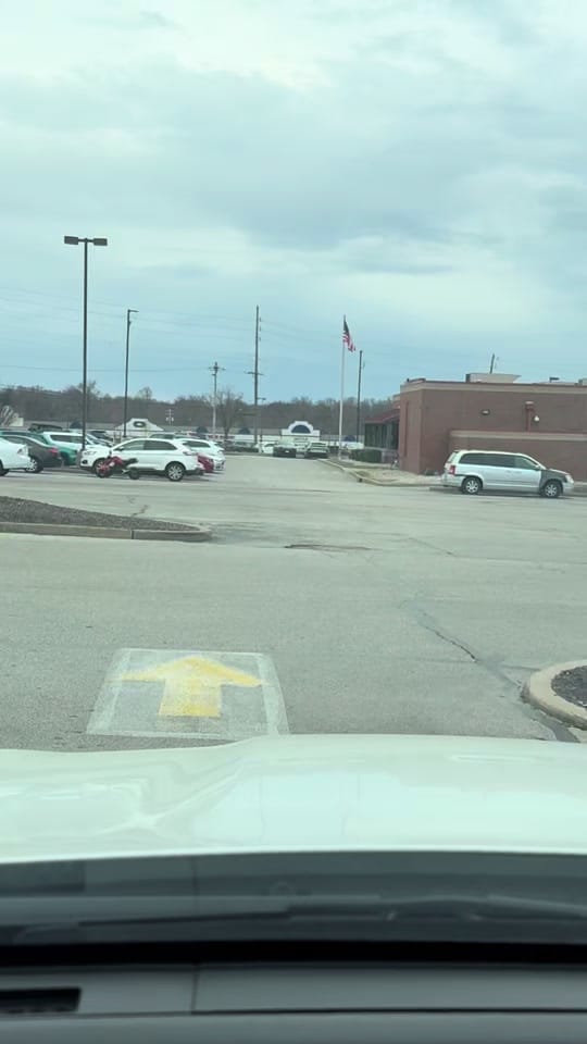 Post 3 by Stanley the Explorer on TikTok (video)