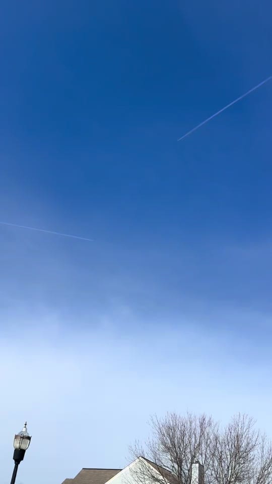 Post 4 by Stanley the Explorer on TikTok (video)