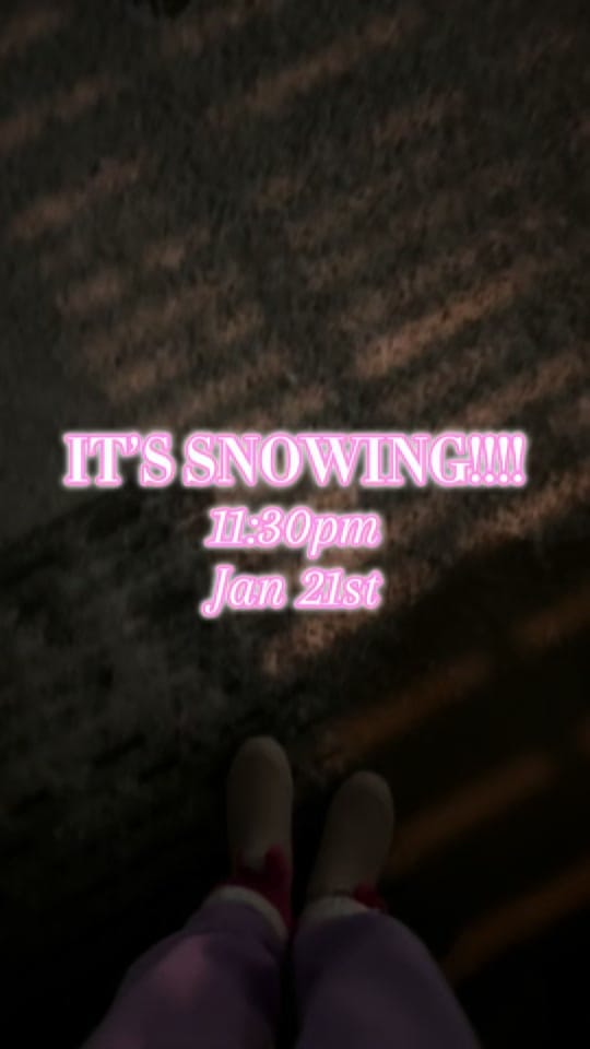 Post 7 by Lindsey Browning on TikTok (video)