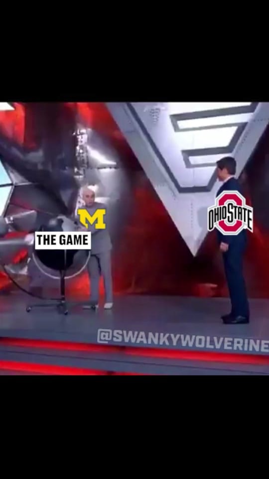 Post 8 by swankywolverine on TikTok (video)