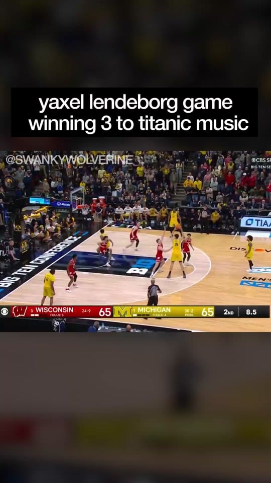Post 1 by swankywolverine on TikTok (video)