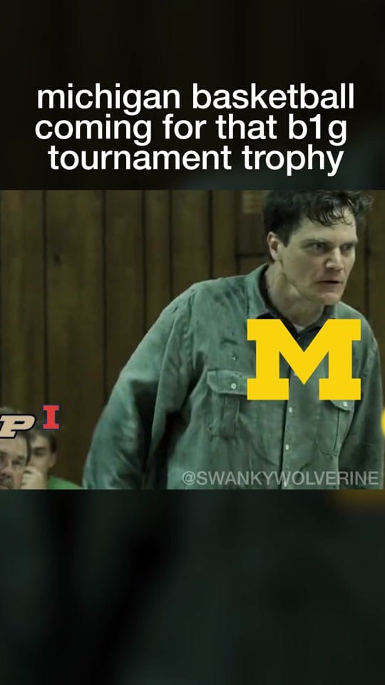Post 4 by swankywolverine on TikTok (video)