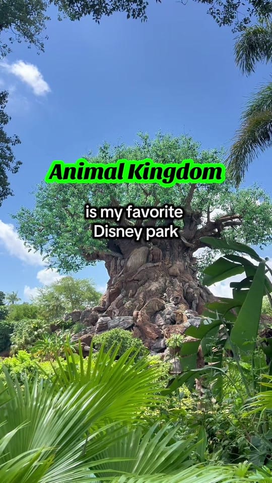 Post 5 by Lawson Martin on TikTok (video)