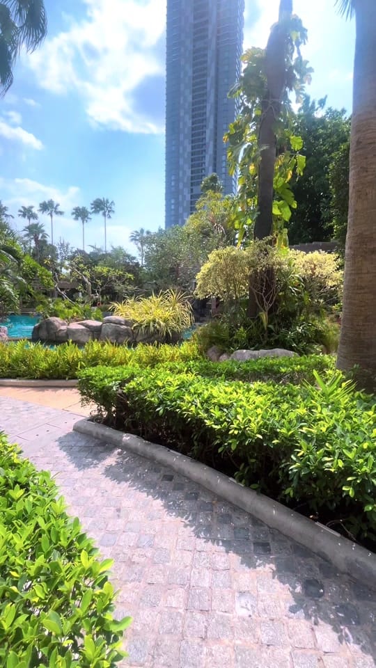 Post 4 by LivingInThailand on TikTok (video)