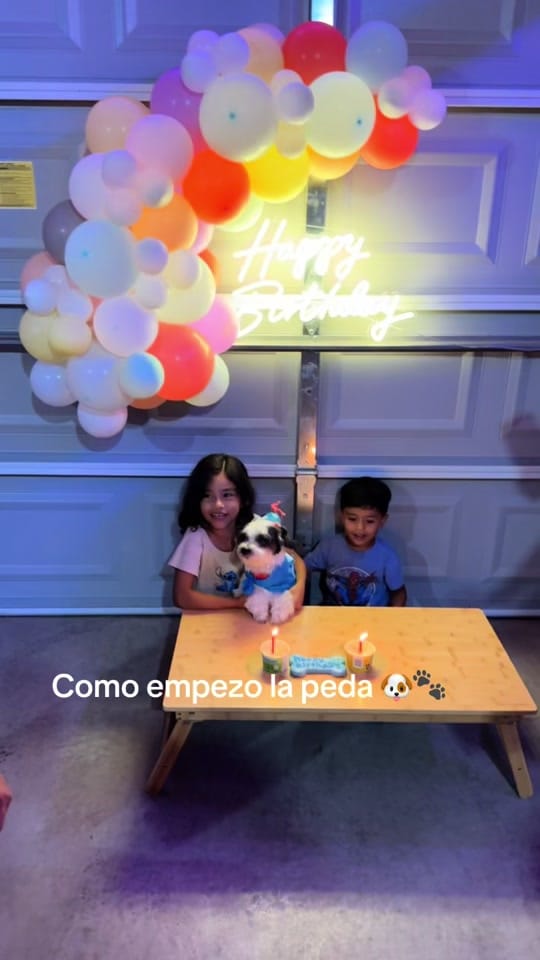 Post 3 by Lanaiii_v|chi📍 on TikTok (video)