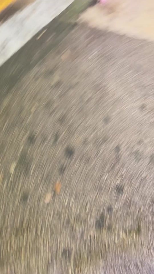 Post 10 by Roxana Alvarez on TikTok (video)