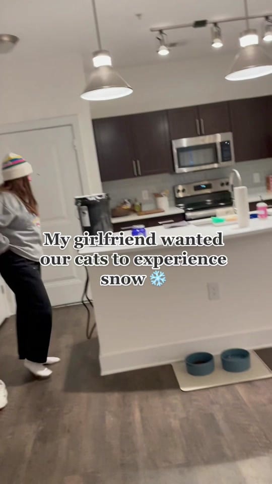 Post 5 by Lauren Vlach on TikTok (video)
