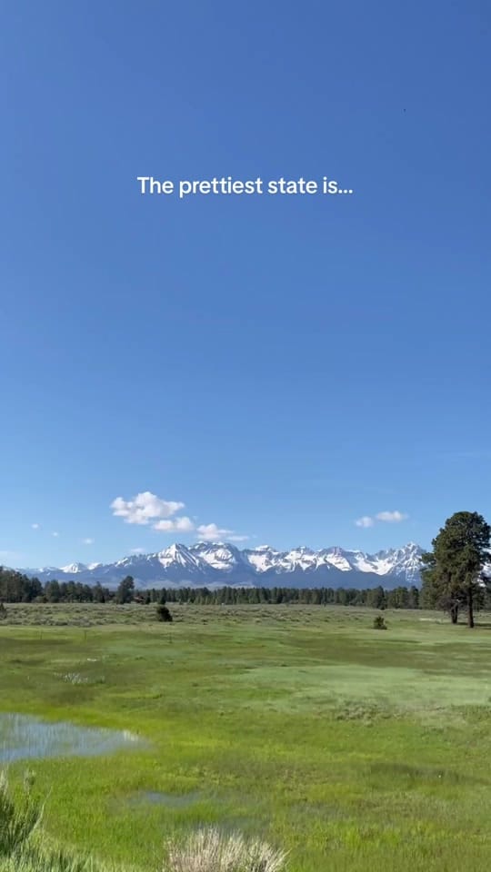 Post 4 by Lauren Vlach on TikTok (video)
