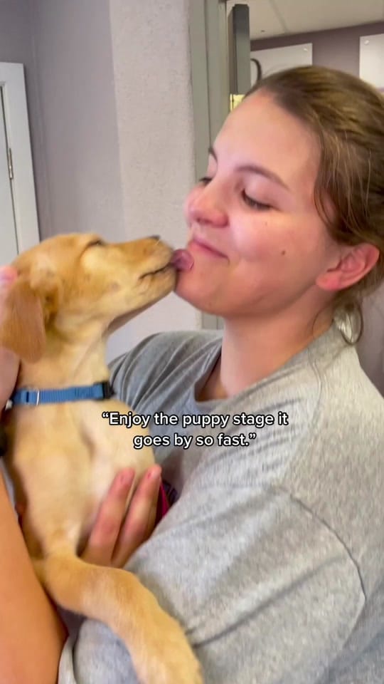 Post 8 by Lauren Vlach on TikTok (video)
