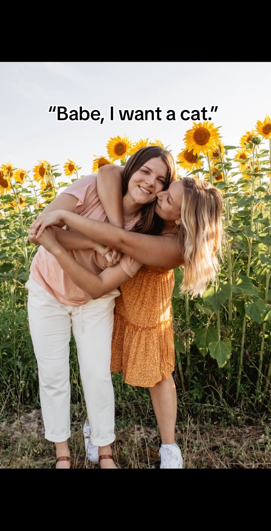Post 2 by Lauren Vlach on TikTok (video)