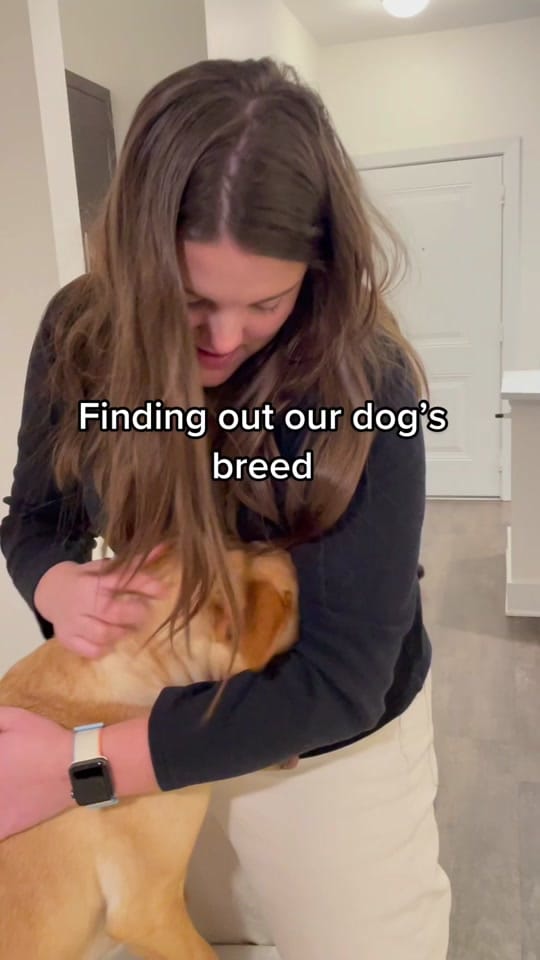 Post 6 by Lauren Vlach on TikTok (video)