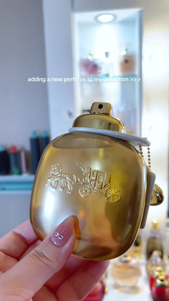 Post 9 by ILSE on TikTok (video)