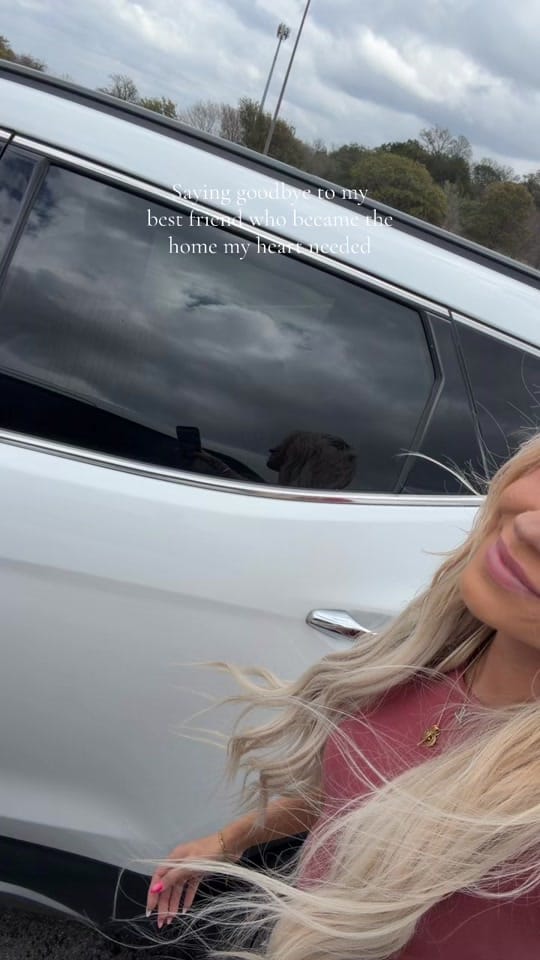 Post 2 by Emily on TikTok (video)