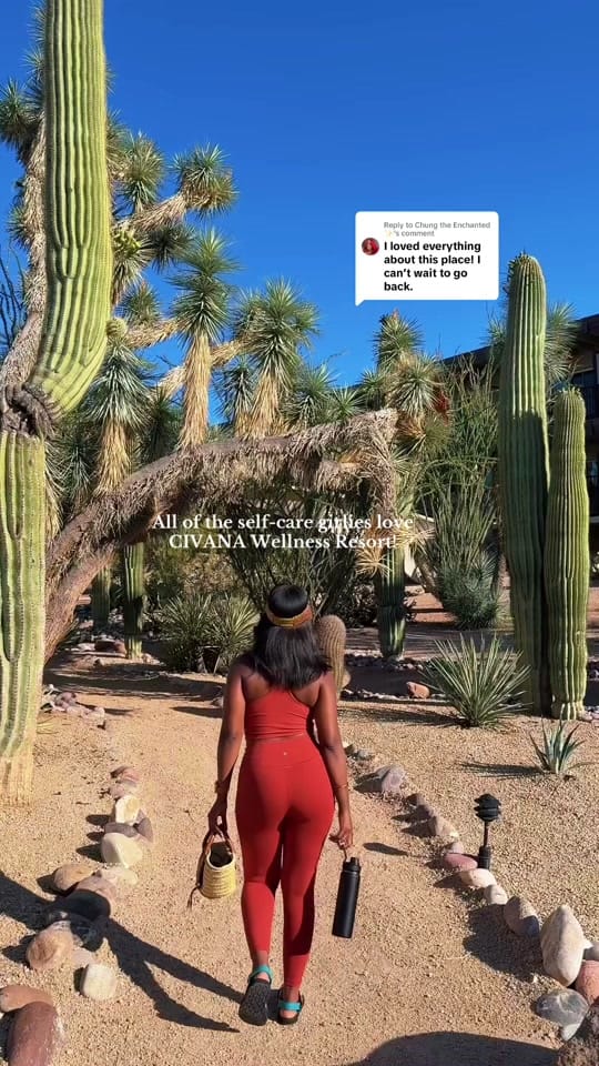 Post 4 by _chardaisyy on TikTok (video)