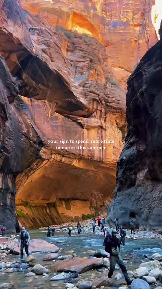 Post 8 by _chardaisyy on TikTok (video)