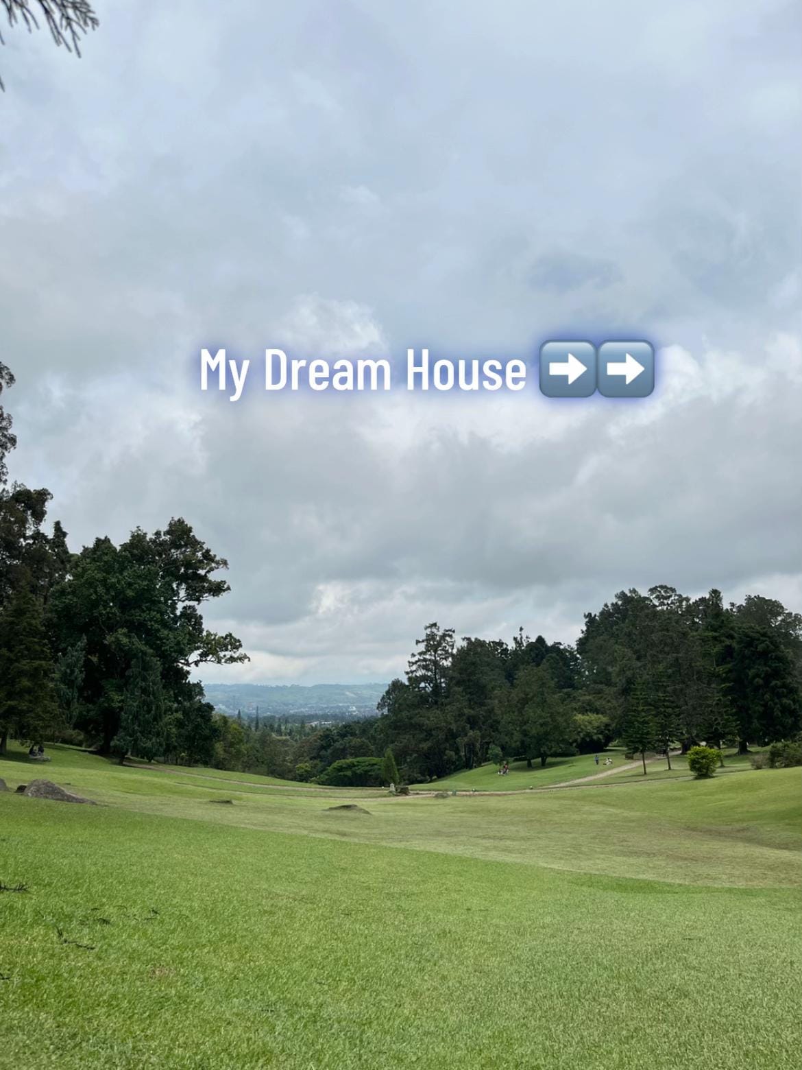 Post 9 by Nova Y. on TikTok (video)