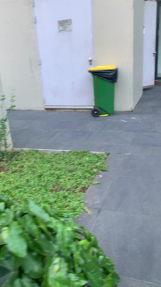 Post 10 by Nova Y. on TikTok (video)