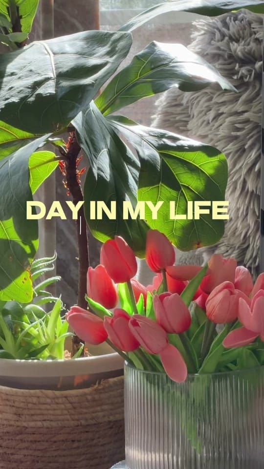 Post 3 by pauli Bodin | SF Creator on TikTok (video)