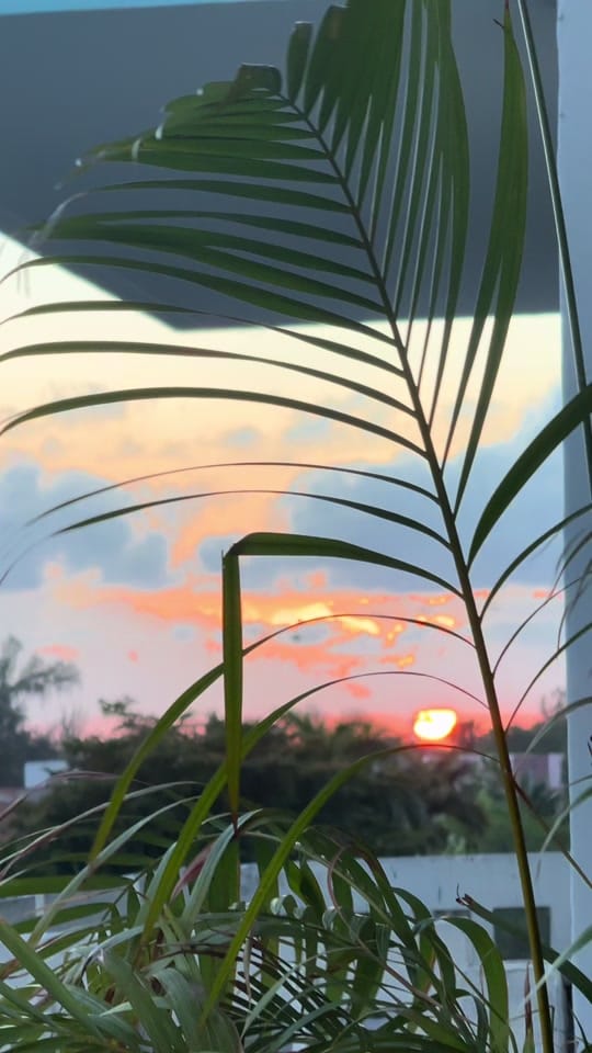 Post 1 by Yanell Galva on TikTok (video)
