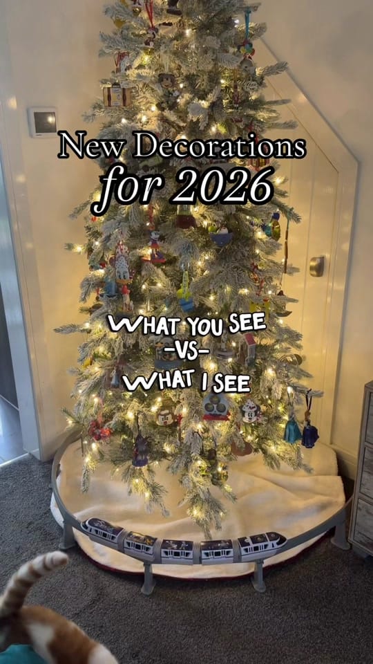 Post 5 by Sarah on TikTok (video)