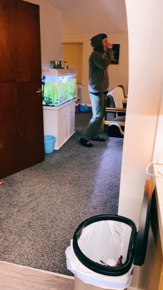 Post 4 by bree 💛 on TikTok (video)