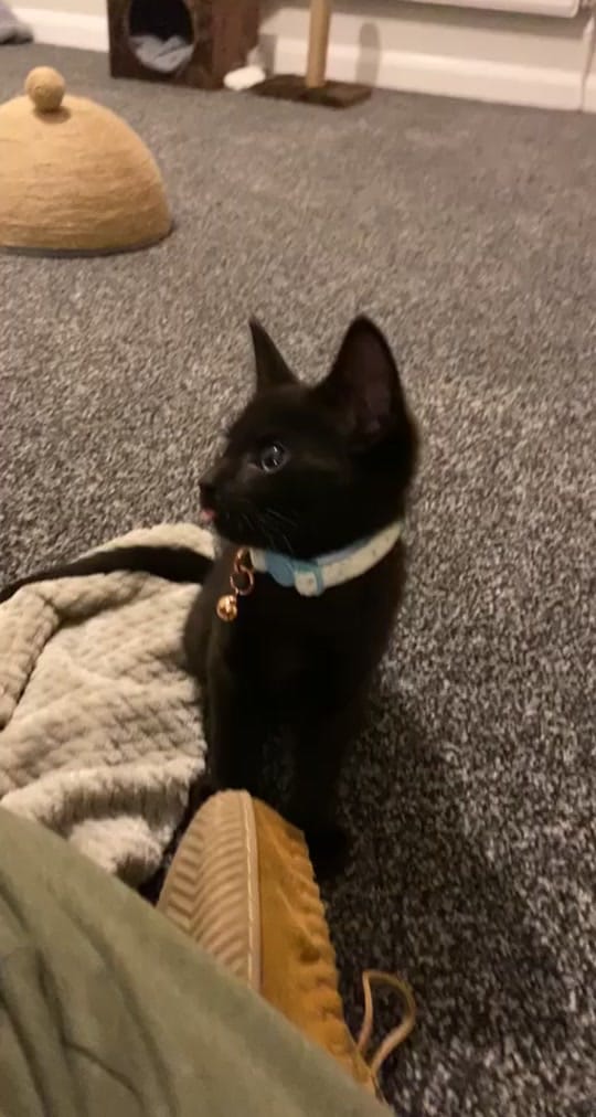 Post 7 by bree 💛 on TikTok (video)