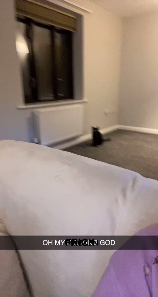 Post 3 by bree 💛 on TikTok (video)
