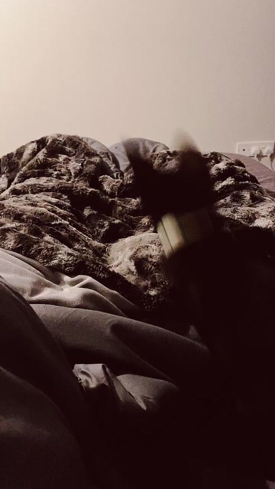 Post 6 by bree 💛 on TikTok (video)