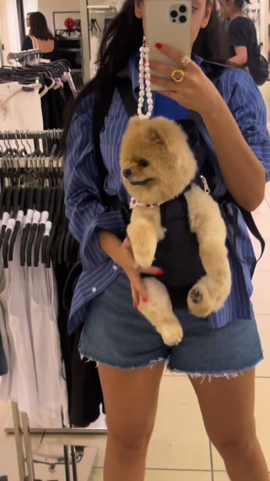 Post 7 by Golnoosh Saedifar on TikTok (video)
