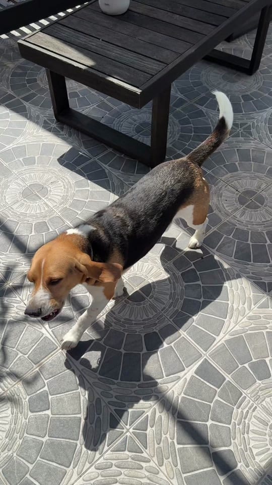 Post 1 by chante on TikTok (video)