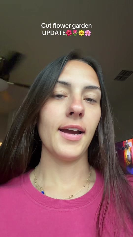 Post 7 by harleighjohnson_ on TikTok (video)