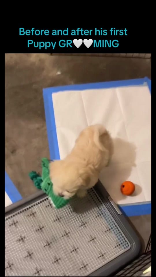 Post 5 by Dalisay Ceja|Makeup Artist on TikTok (video)