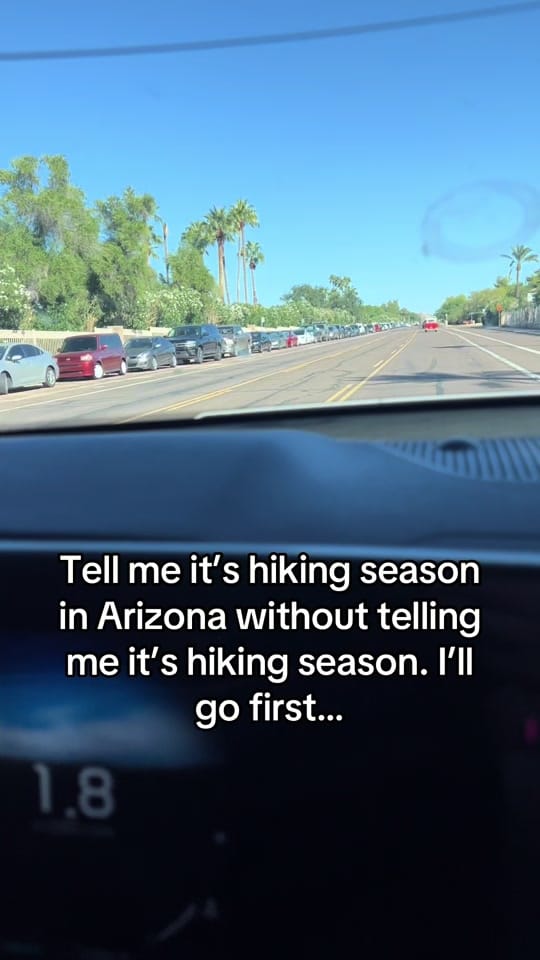 Post 8 by FancyLikeNancy on TikTok (video)