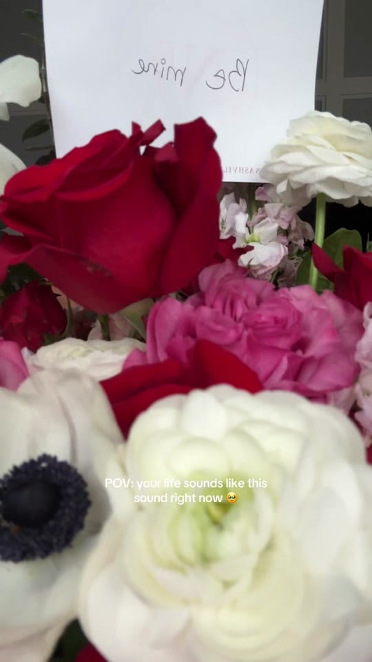 Post 9 by Bethany McLelland on TikTok (video)