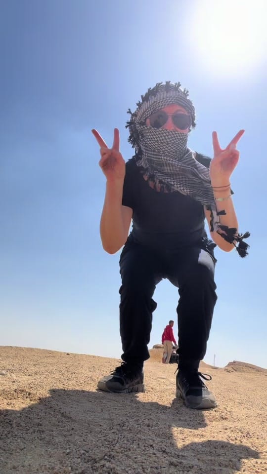 Post 3 by Lisa on TikTok (video)