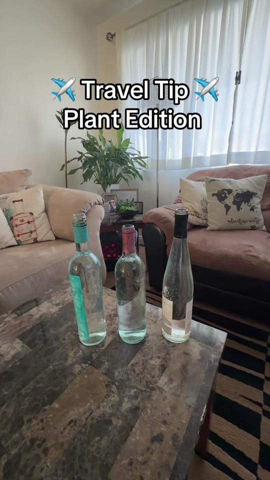 Post 6 by Lisa on TikTok (video)