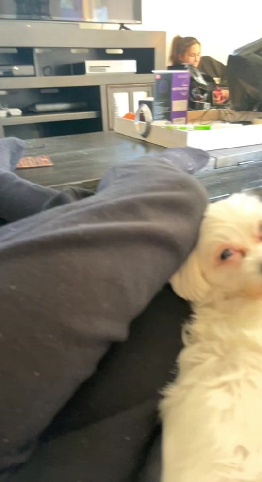 Post 6 by Heathbarsmith on TikTok (video)