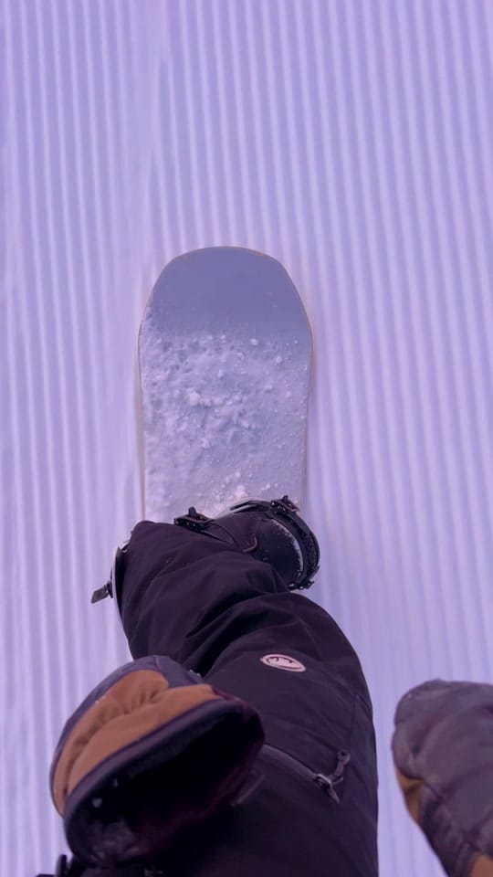 Post 9 by Dakota Levy on TikTok (video)