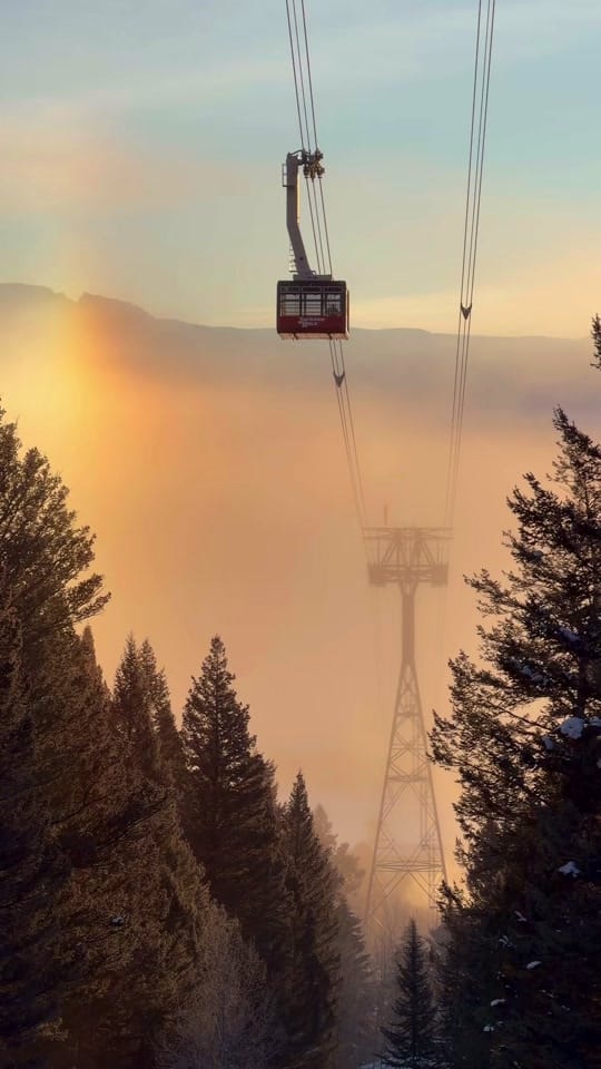 Post 1 by Dakota Levy on TikTok (video)