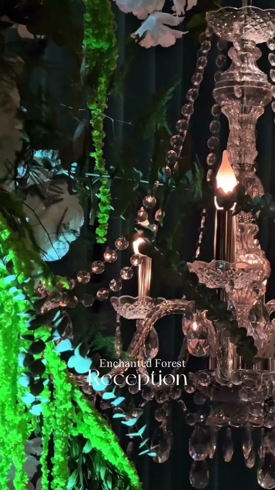 Post 6 by Chicago Wedding Photographer on TikTok (video)