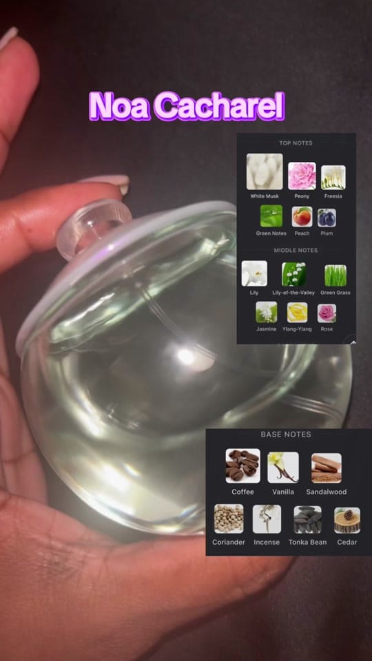 Post 6 by TeeSmellsGood🫧 on TikTok (video)