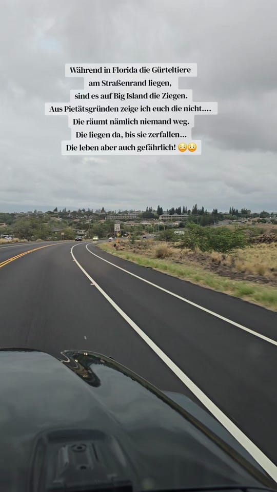 Post 3 by Nicole | German Mom USA 🇺🇲 on TikTok (video)