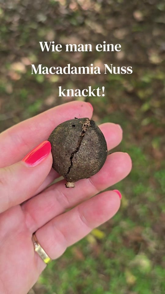 Post 1 by Nicole | German Mom USA 🇺🇲 on TikTok (video)