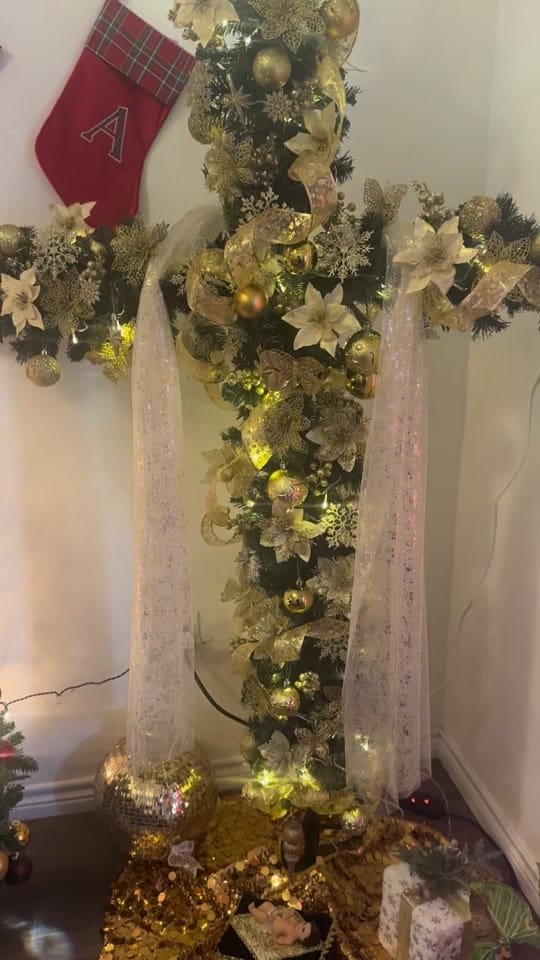 Post 6 by Crissy on TikTok (video)