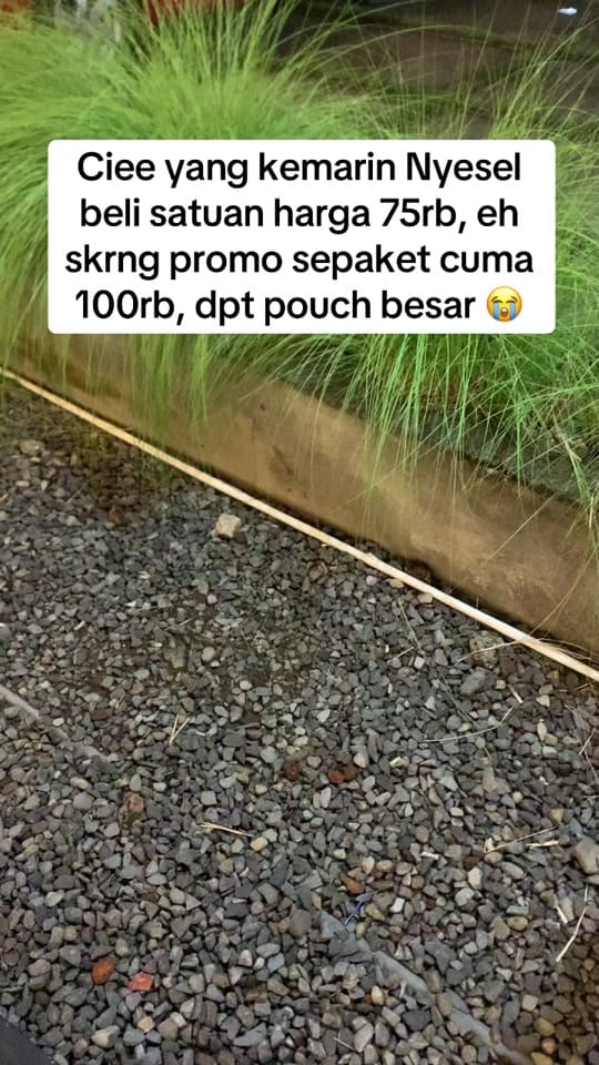Post 10 by ShabiraAurora on TikTok (video)