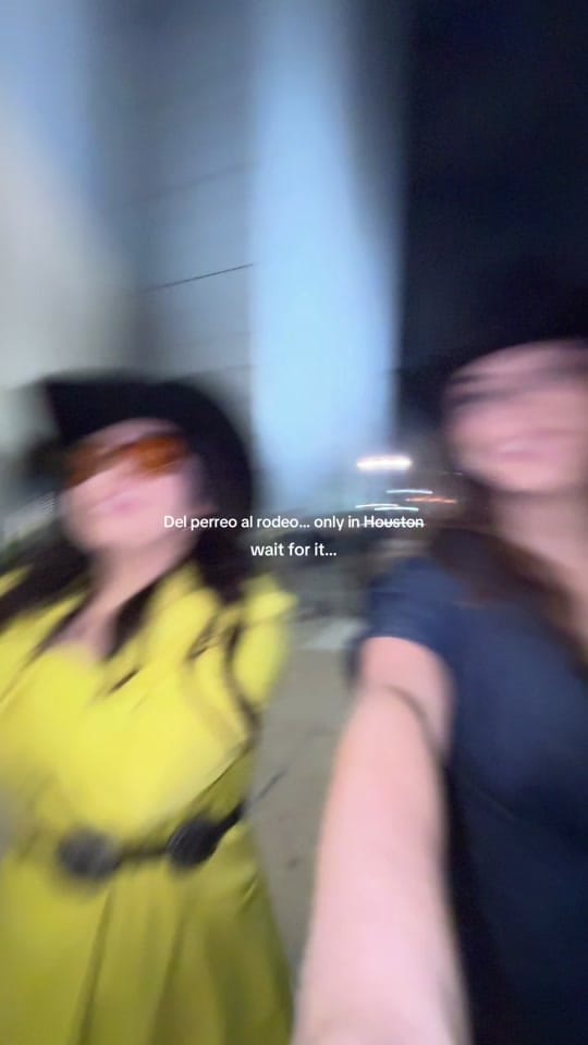 Post 3 by N o r m a l y on TikTok (video)