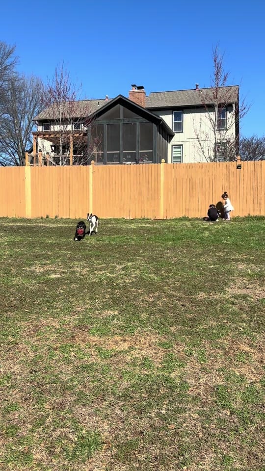 Post 4 by Jocelyn • Kansas City Mom on TikTok (video)
