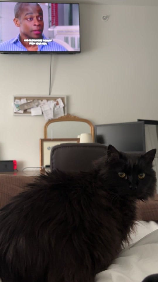 Post 10 by ABBY DUA on TikTok (video)